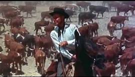 "The Big Land" (1957) Movie Slideshow