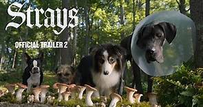Strays - Official Trailer