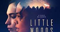 Little Woods - Film (2018)