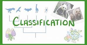 GCSE Biology - Classification #80