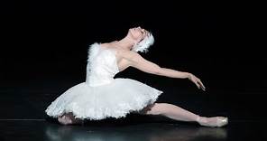 The Dying Swan – Natalia Osipova (The Royal Ballet)