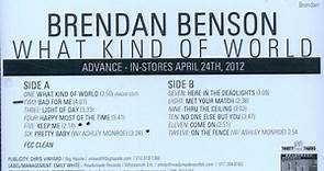 Brendan Benson - What Kind Of World