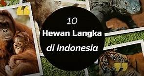 INILAH 10 HEWAN LANGKA YANG DILINDUNGI DI INDONESIA