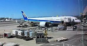 ANA (All Nippon Airways) Business | Haneda, Japan to San Francisco, U.S.