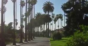 Visit City of San Jose California | "The Capital of Silicon Valley" | CityOf.com/SanJose