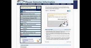 Introduction to Mouse Genome Informatics: worksheet module 1