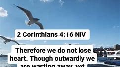 ‭2 Corinthians‬ ‭4:16‬ ‭NIV‬ Therefore do not lose heart. Though outwardly we are wasting away, yet inwardly we are being renewed day by day. #christiantalk#christianworship #christianprayer #devinepower #jehovah#jireh #jesuslovesyou #bibleverse | prayed_up.disciple