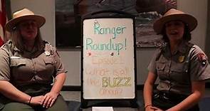 Ranger Roundup: What is All the Buzz About? (Ep. #1)