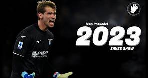 Ivan Provedel ◐ The Wall ◑ Best Saves ∣ HD