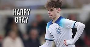 Harry Gray • Leeds Utd • Highlights Video (Goals, Assists, Skills)