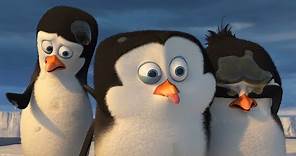DreamWorks Madagascar en Español Latino | Eso es asqueroso | Clip de Los Pingüinos de Madagascar