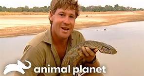 Steve Irwin's Unbelievable Encounter with Nile Crocodiles | Crocodile Hunter | Animal Planet