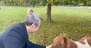 陶傑 - 據說動物對陌路人的善惡有一種直覺。所以，除了小馬，一隻驢子也主動向我走過來。...