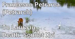 Francesco Petrarca (Petrarch) - To Laura in Death. Sonnet Xvi