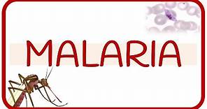 MALARIA - fisiopatología, ciclo de vida, manifestaciones clínicas, diagnóstico y tratamiento