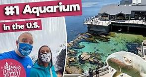 Monterey Bay Aquarium FULL TOUR | Is it the BEST Aquarium in the US?