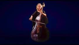 Introducing the Baroque Double Bass