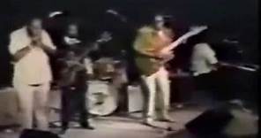 Jimmy Rogers and James Cotton Walking By Myself Live
