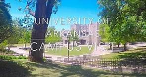 University of Arkansas Campus Tour & Visit (WALKING TOUR)
