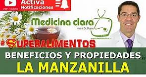 Manzanilla, beneficios y propiedades de las infusiones de manzanilla | Medicina Clara
