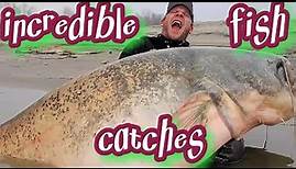Catch of a Lifetime: The World's Top 20 Biggest Fish Ever Caught