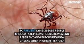 12 signs and symptoms of untreated Lyme disease