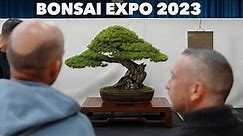 BONSAI EXPO 2023