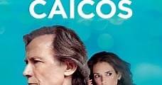 Islas Turcas y Caicos (2014) Online - Película Completa en Español - FULLTV