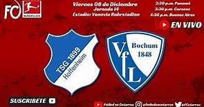 TSG 1899 Hoffenheim VS VfL Bochum | BUNDESLIGA | Jornada 14