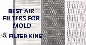 Best Air Filters for Mold and Air Purification [2021]