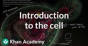 Introduction to the cell | Cells | High school biology | Khan Academy