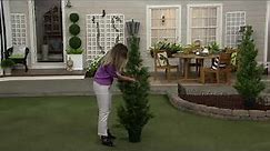 National Tree Faux Cedar Tree with Growers Pot on QVC