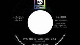 1967 HITS ARCHIVE: It’s Now Winters Day - Tommy Roe (mono 45)