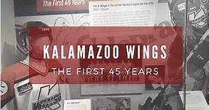 45 Years of K-Wings at Kalamazoo Valley Museum