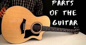 parts of the guitar and their functions
