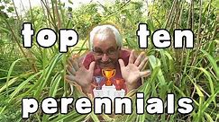 TOP 10 Edible Perennial vegetables and Herbs to plant in your garden or permaculture orchard! (2021)