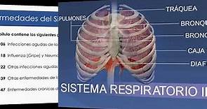 Capítulo X Enfermedades del Sistema Respiratorio