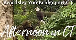 Beardsley Zoo: A Fun Family Destination In Bridgeport, Ct