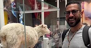 En 1996, Ian Wilmut y Keith Campbell crearon a la oveja Dolly, el primer mamífero clonado a partir de una célula adulta. 🐑🏴󠁧󠁢󠁳󠁣󠁴󠁿#science #escocia #dollythesheep #dolly #scotland #tbt #travel #fyp