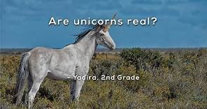 Are unicorns real?