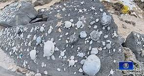 小琉球新打卡景點 遊客用石頭黏出滿滿小海龜 - 新唐人亞太電視台