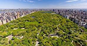 Central Park Conservancy: Our Story