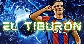 Ferrán Torres - All goals for FC Barcelona (2022/21-2023/24) | Henry Mendez "El Tiburón (The Shark)"