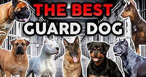THE BEST GUARD DOG BREED! Ultimate Dog Championship