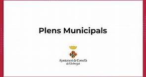 Ple municipal - 31 de gener de 2024 - Ajuntament de Cornellà de Llobregat