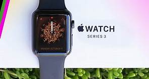 Apple Watch Series 3 Review (2021) for Sports and Fitness