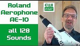 Aerophone AE-10 | Soundbeispiele zu allen 128 Sounds