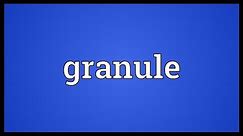 Granule Meaning
