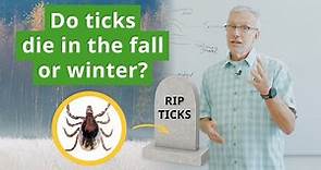 Do Ticks Die In The Fall Or Winter? Tick Expert Debunks This Myth