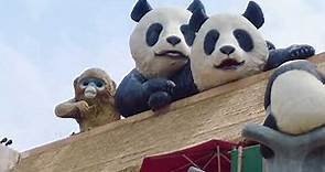 [Plaa游遊] 香港|海洋公園山下篇|生日免費入場|兒時回憶|週末好去處|熊貓盈盈樂樂|十號風球世紀暴雨之間|Hong Kong|Ocean Park Birthday|Panda